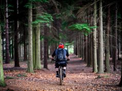 Photos from Dirt Fest 2013 A person riding a bike down a dirt path in a forest