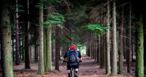 Photos from Dirt Fest 2013 A person riding a bike down a dirt path in a forest