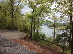 Camping Option: Lake Raystown Family Camping Resort A path with trees on the side of a tree
