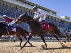 Hot Springs, Arkansas: National Park, Horse Racing and Hot Baths A group of people riding on the back of a horse