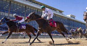 Hot Springs, Arkansas: National Park, Horse Racing and Hot Baths A group of people riding on the back of a horse